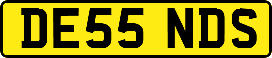 DE55NDS