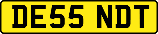 DE55NDT