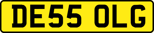 DE55OLG