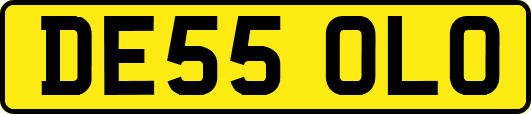 DE55OLO