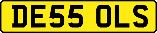 DE55OLS