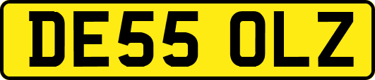 DE55OLZ