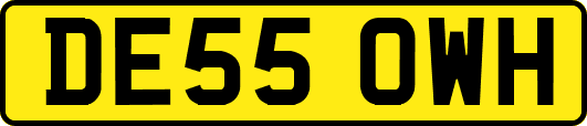 DE55OWH