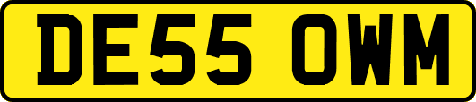 DE55OWM