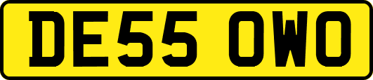 DE55OWO