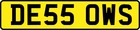 DE55OWS