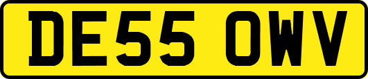 DE55OWV