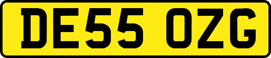 DE55OZG