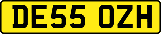 DE55OZH