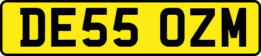 DE55OZM