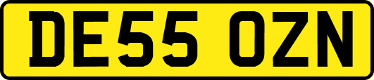 DE55OZN