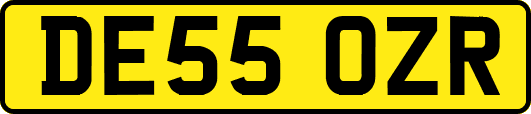 DE55OZR
