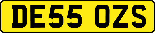 DE55OZS