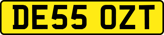 DE55OZT