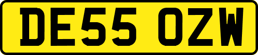 DE55OZW