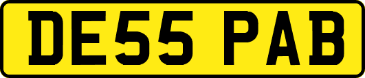 DE55PAB
