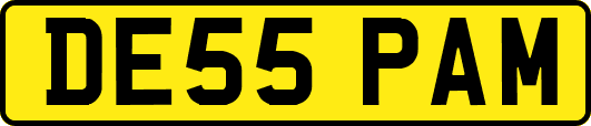 DE55PAM
