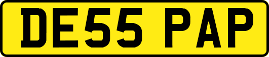 DE55PAP