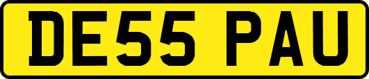 DE55PAU