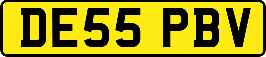 DE55PBV