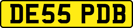 DE55PDB