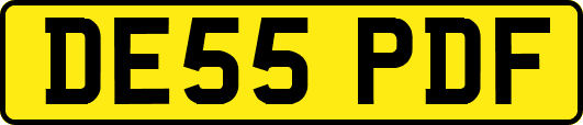 DE55PDF