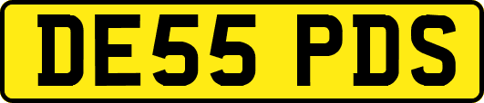 DE55PDS
