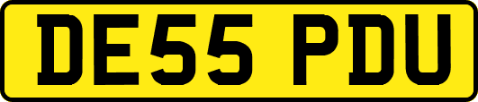 DE55PDU