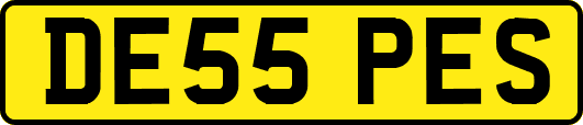 DE55PES
