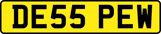 DE55PEW