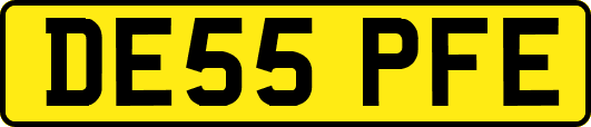 DE55PFE
