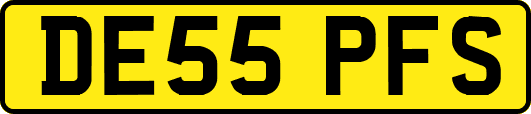 DE55PFS