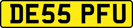 DE55PFU