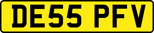 DE55PFV
