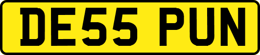 DE55PUN