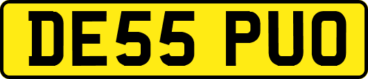 DE55PUO