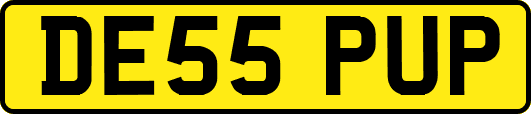 DE55PUP