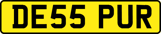 DE55PUR