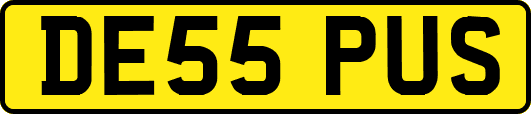DE55PUS