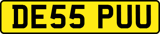 DE55PUU