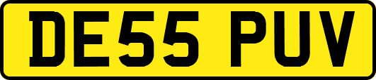 DE55PUV