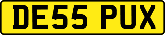 DE55PUX
