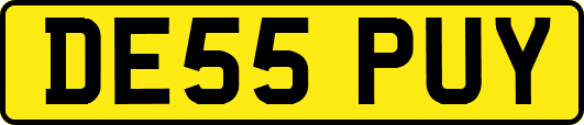 DE55PUY