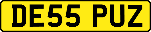 DE55PUZ