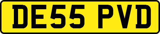 DE55PVD