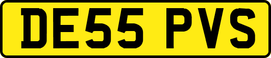 DE55PVS