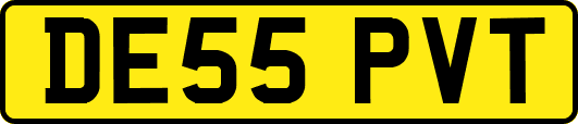 DE55PVT