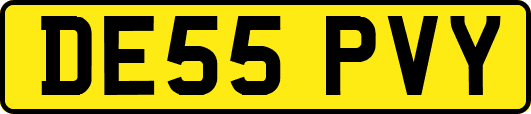 DE55PVY