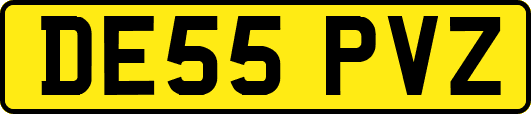 DE55PVZ