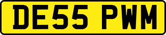 DE55PWM
